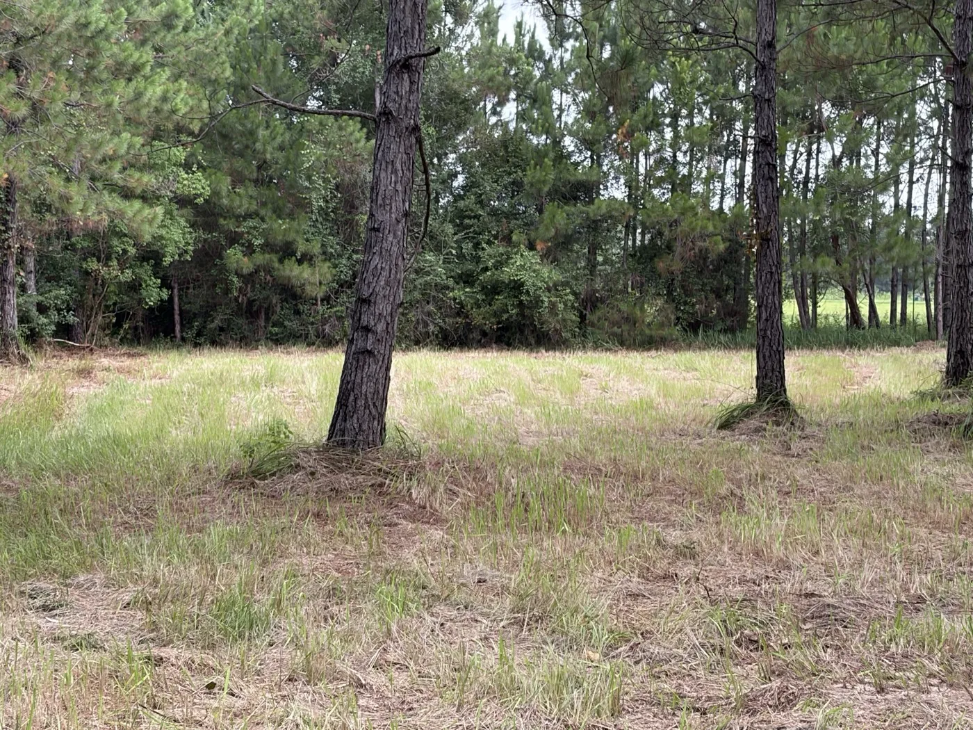 EMCO Builders crew and equipment clearing land in South Alabama