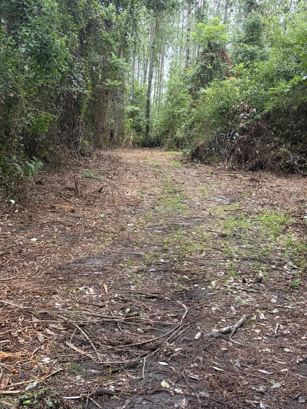 The lane opened up after clearing