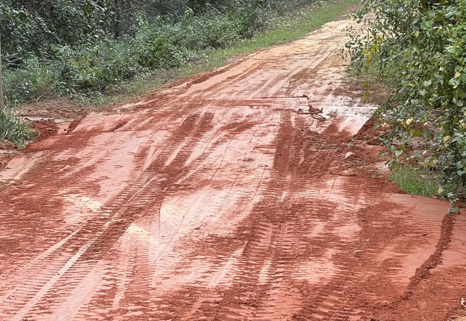 A driveway regraded and packed smooth in red clay after a washout repair, trees on both sides