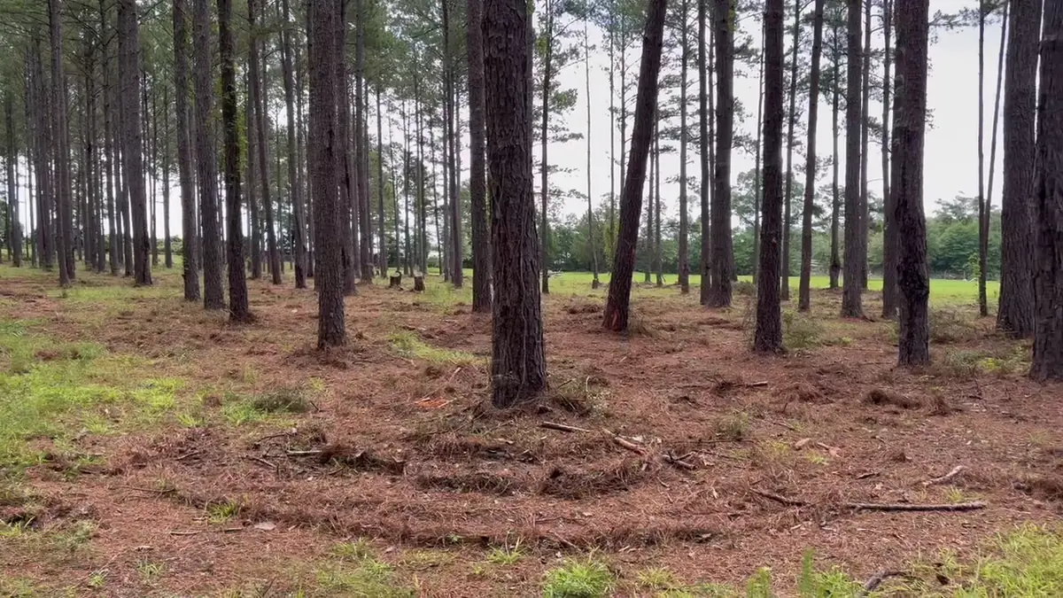 Land Clearing in Semmes, AL