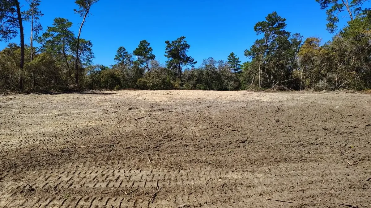 Cleared and graded sandy lot with track marks, pines and scrub oaks along the back edge